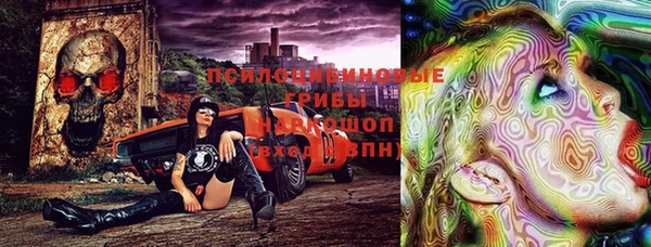 ешки Белоозёрский