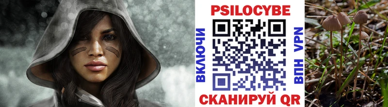 Псилоцибиновые грибы Cubensis Богданович